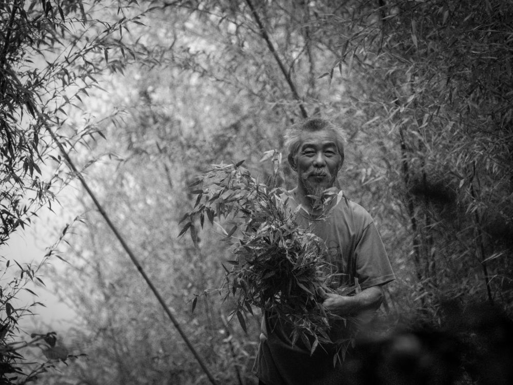 Photograph by Avijit Mukhopadhyay