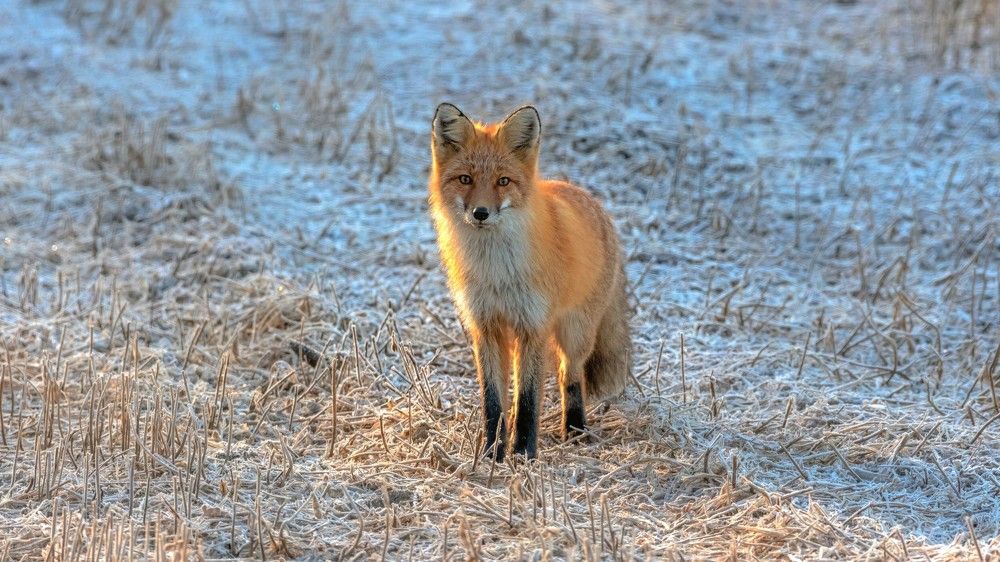 Photograph by константин