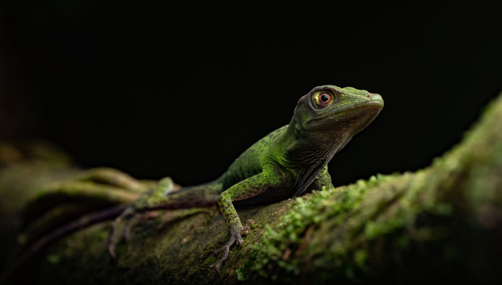 Photograph by Mateo García Mejía