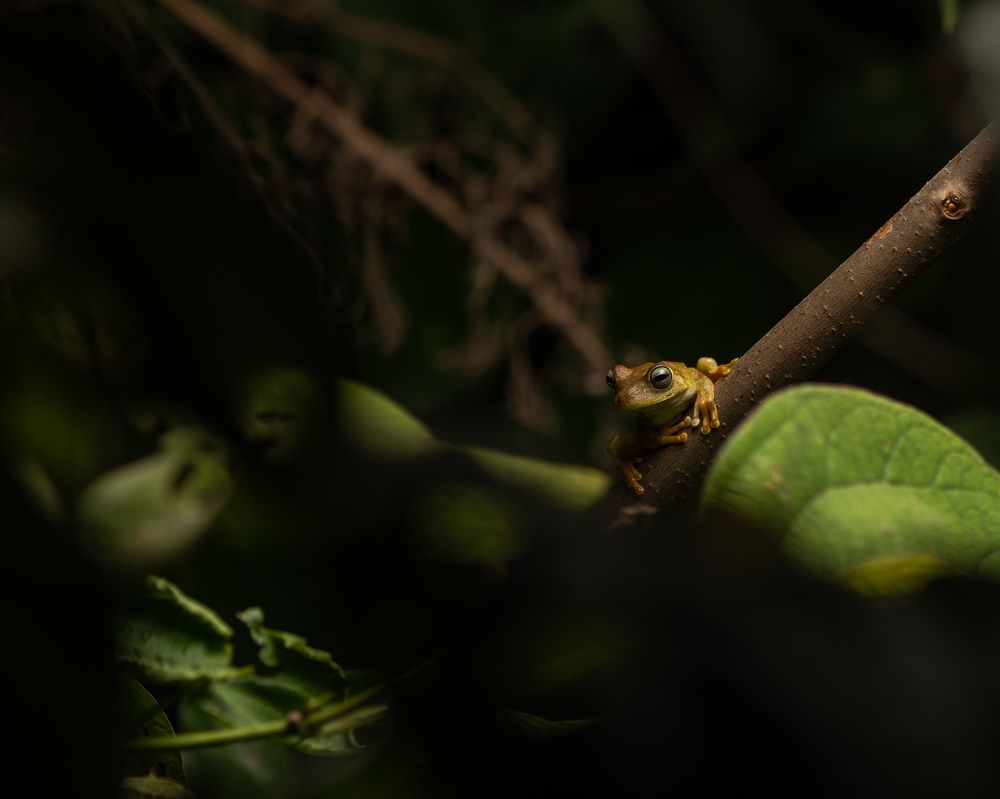 Photograph by Mateo García Mejía