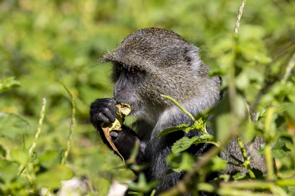 Photograph by Иван Соловьёв