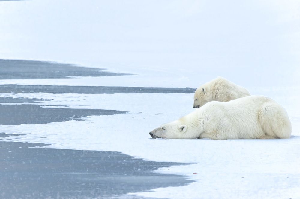 Photograph by Rémi Vacher