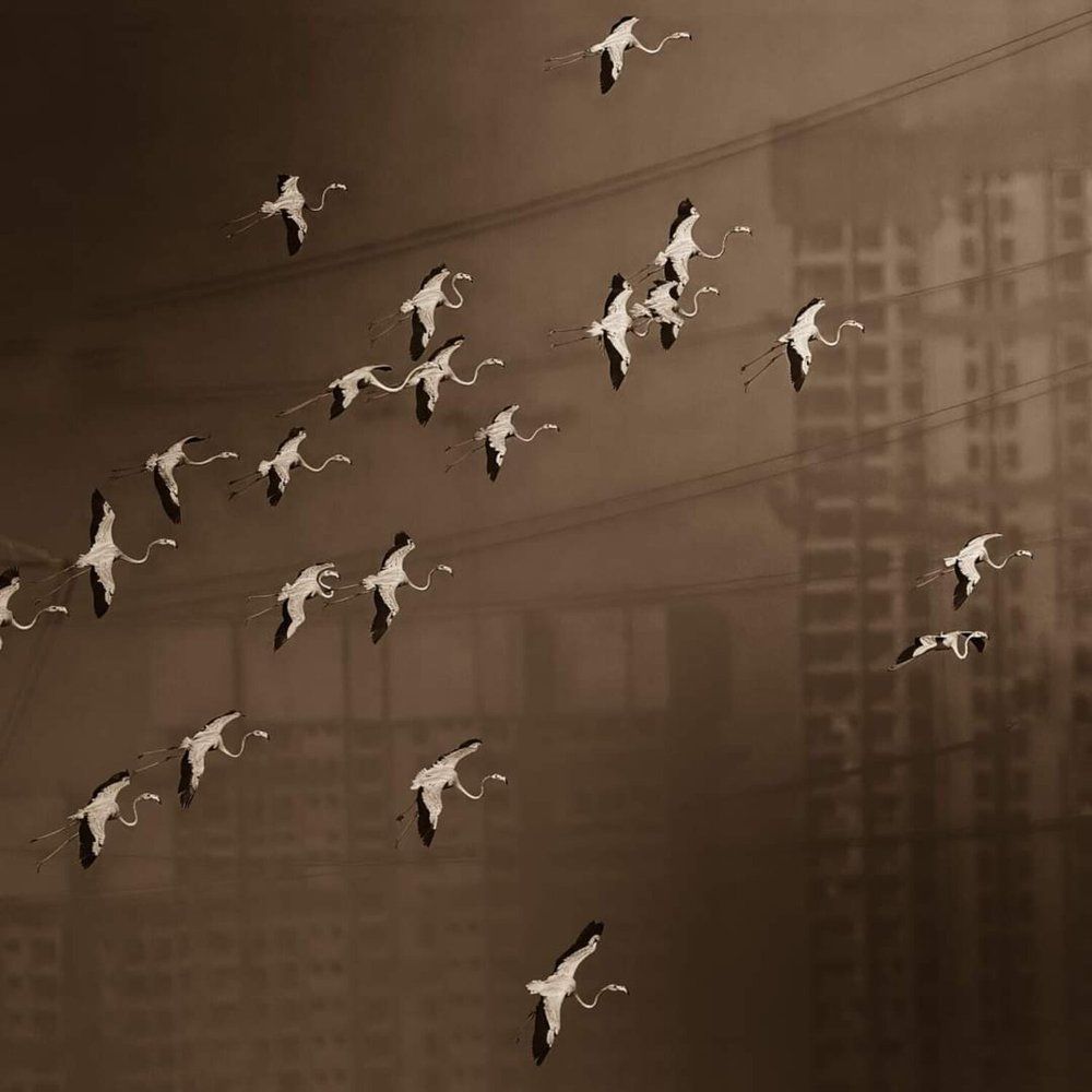 Photograph by Sathyan KM