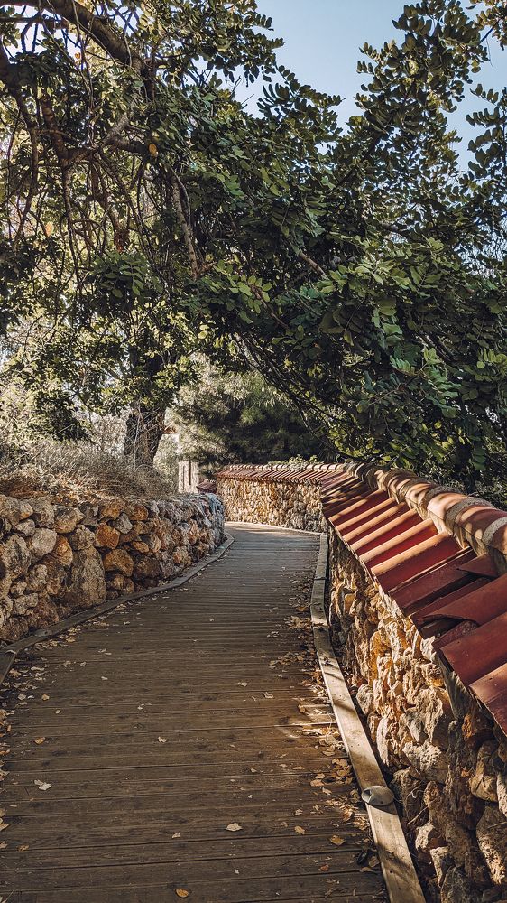 Photograph by Ирина Лузянина