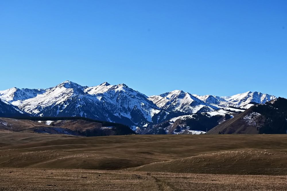 Photograph by Наталья Баранова