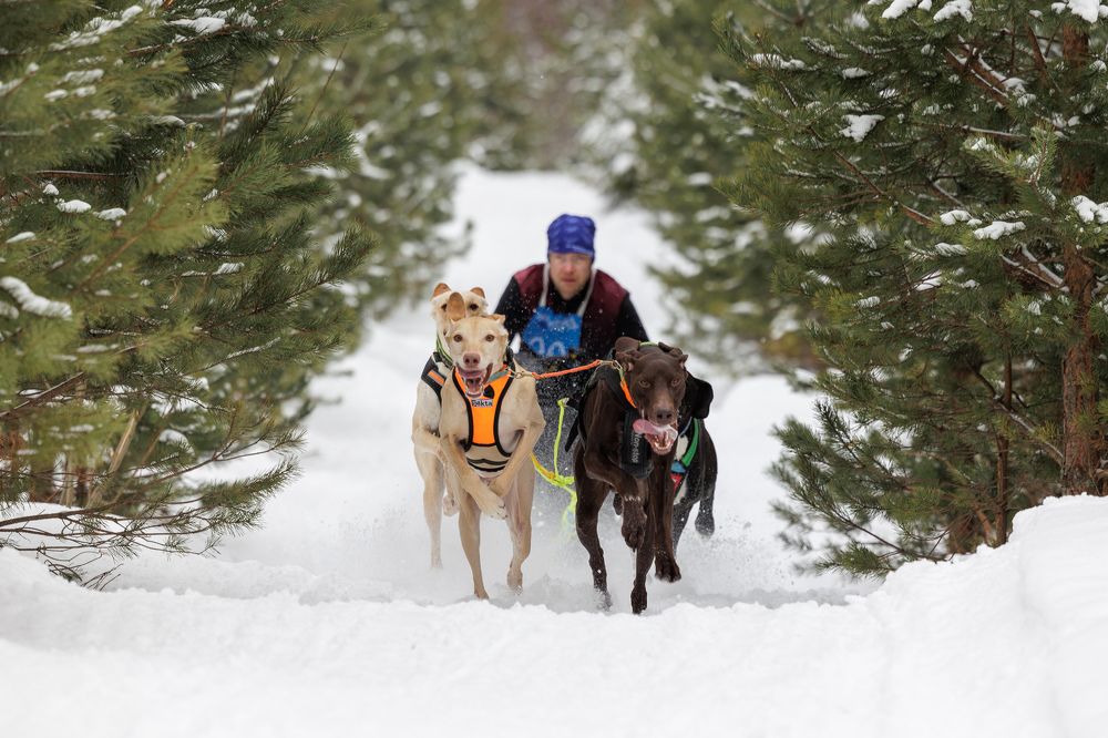 Photograph by Илья Юфа