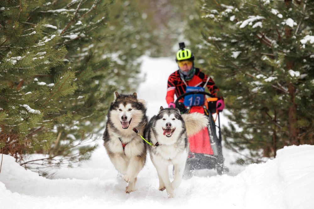 Photograph by Илья Юфа