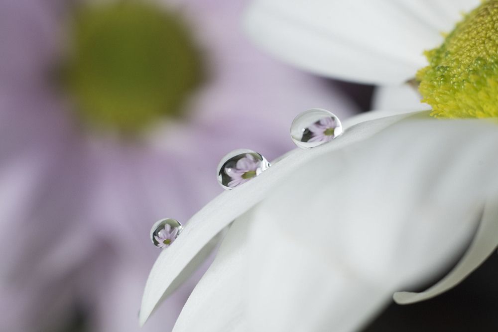 Фотография автора Анастасия Павловна