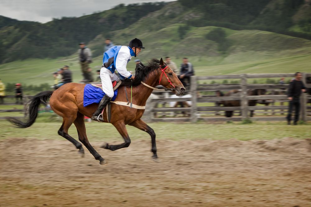 Photograph by виктор ковчин