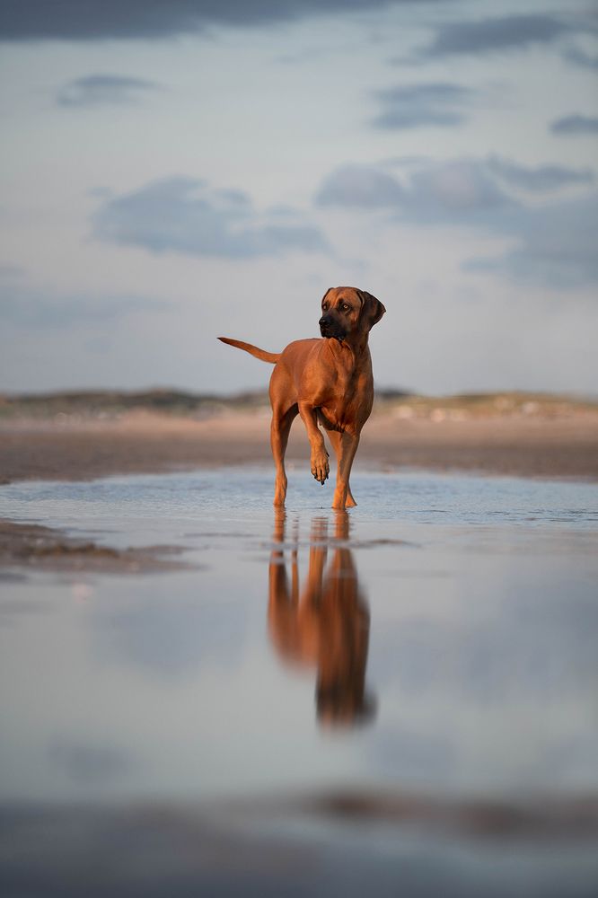 Photograph by Annette Hagemeijer