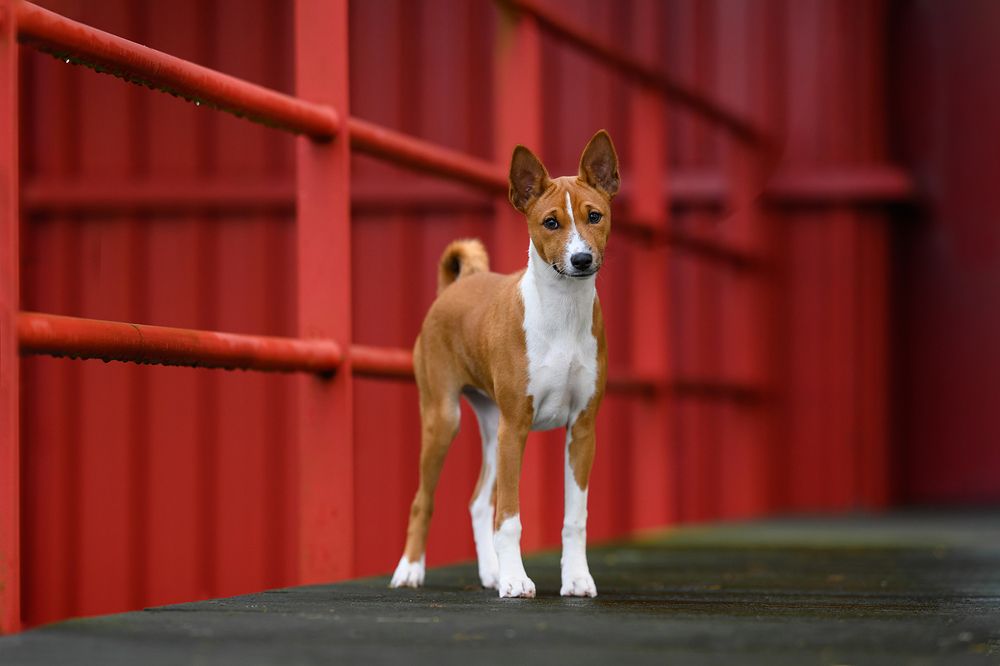 Photograph by Annette Hagemeijer