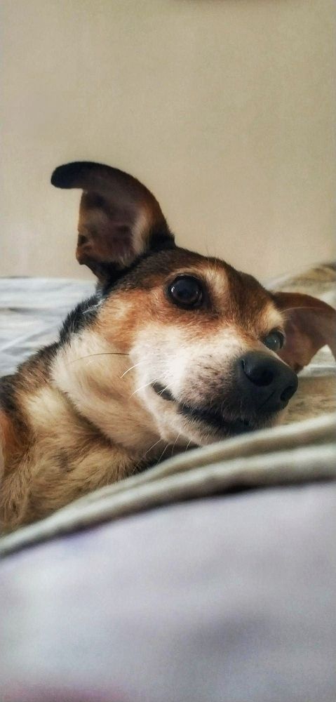 Photograph by Елена Егорова