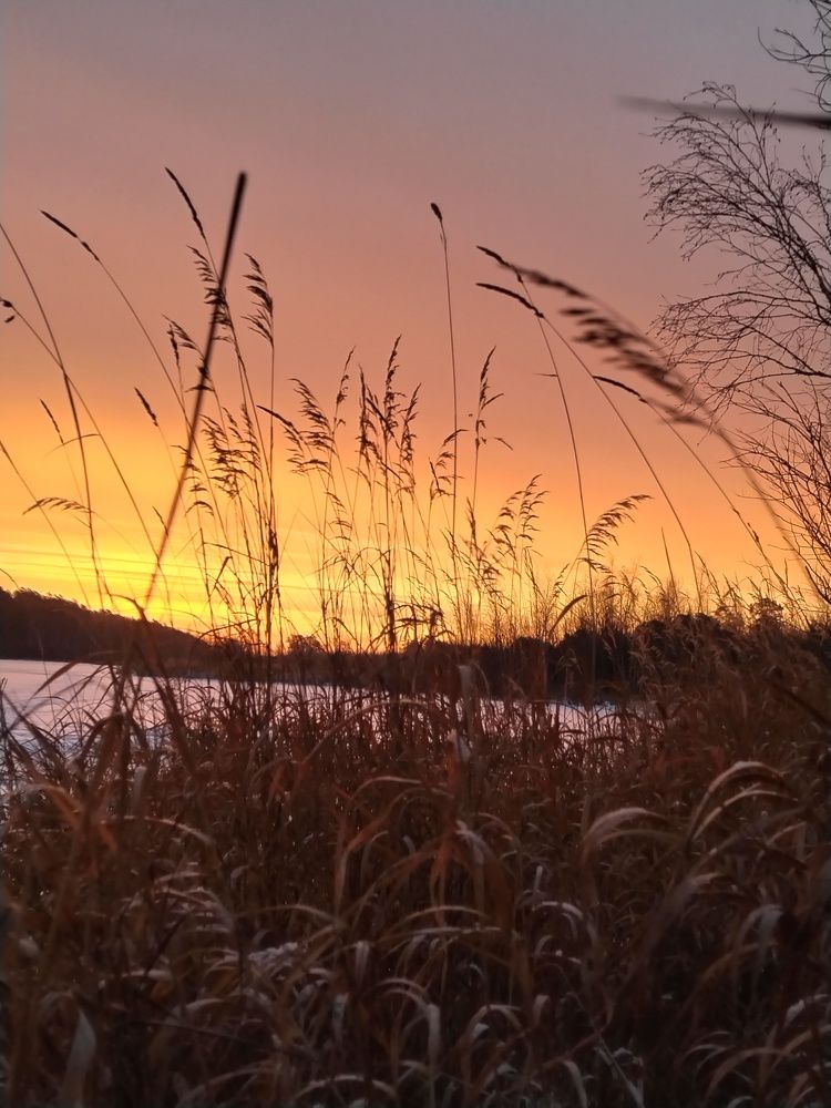 Photo #9906835