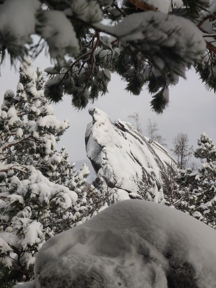 Photo #9906839