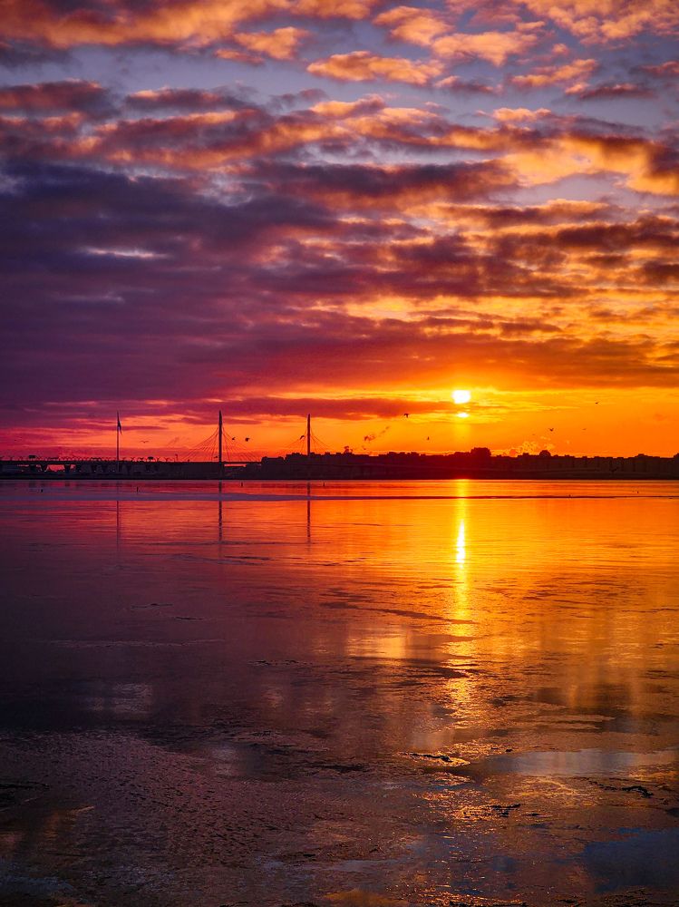 Photograph by Chic.chiquitita