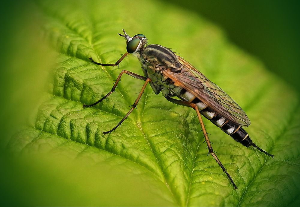 Photograph by Борис Риганов