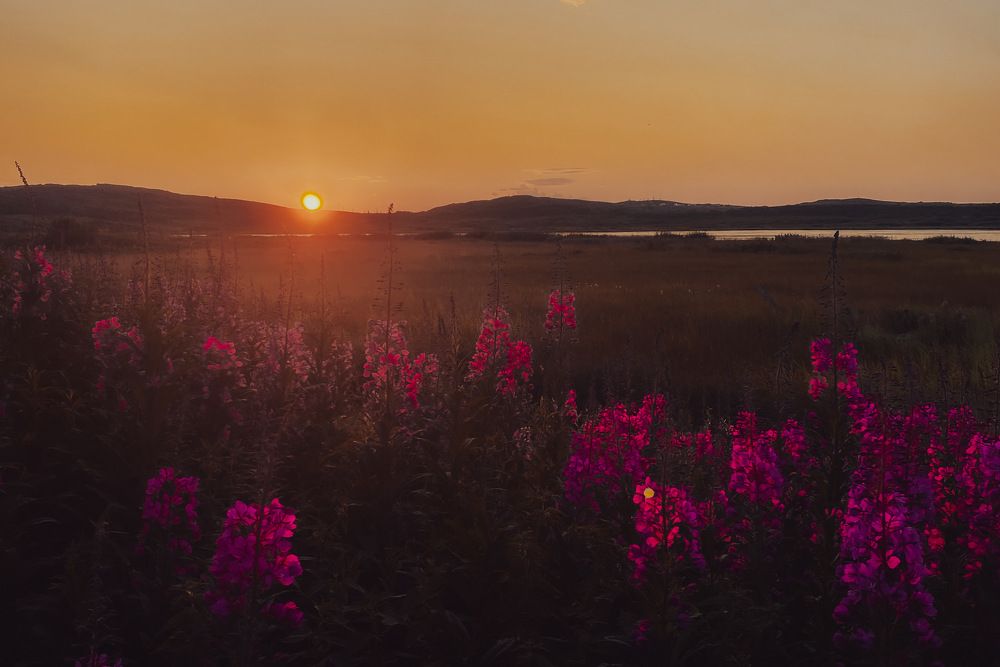 Photograph by Козинец Александр