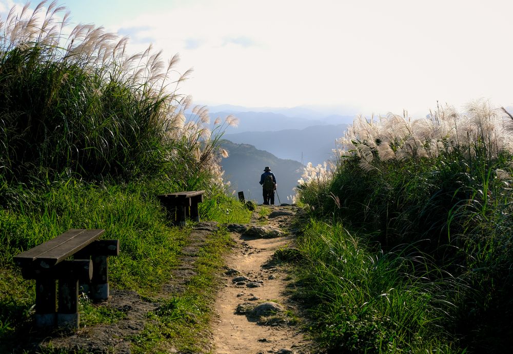 Фотография автора Gustavo Orellana