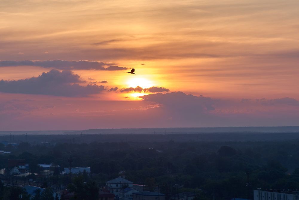 Photograph by Дмитрий Солодухин