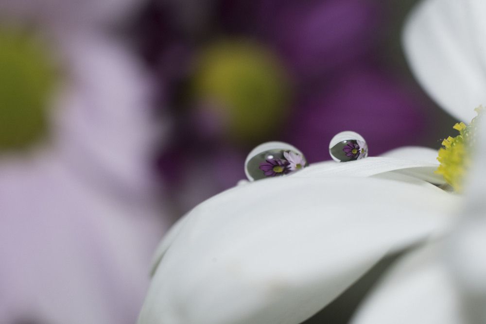 Фотография автора Анастасия Павловна