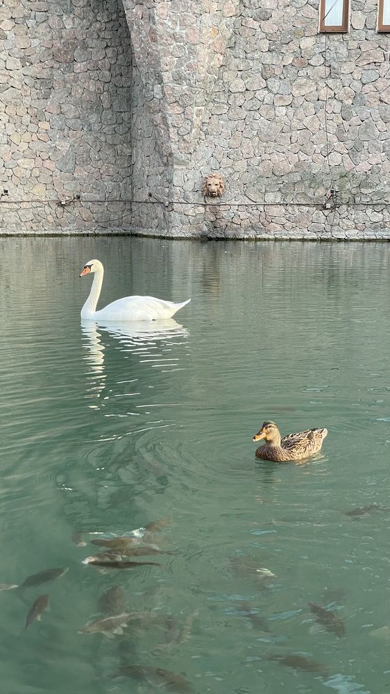 Photograph by Рузанна