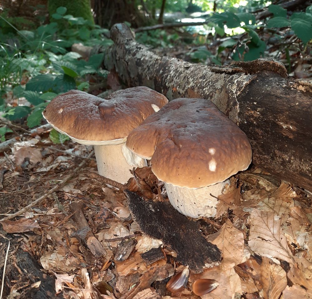 Photograph by Ksenia Werner