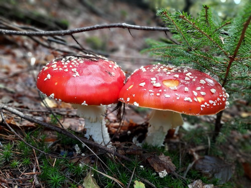 Photograph by Ksenia Werner