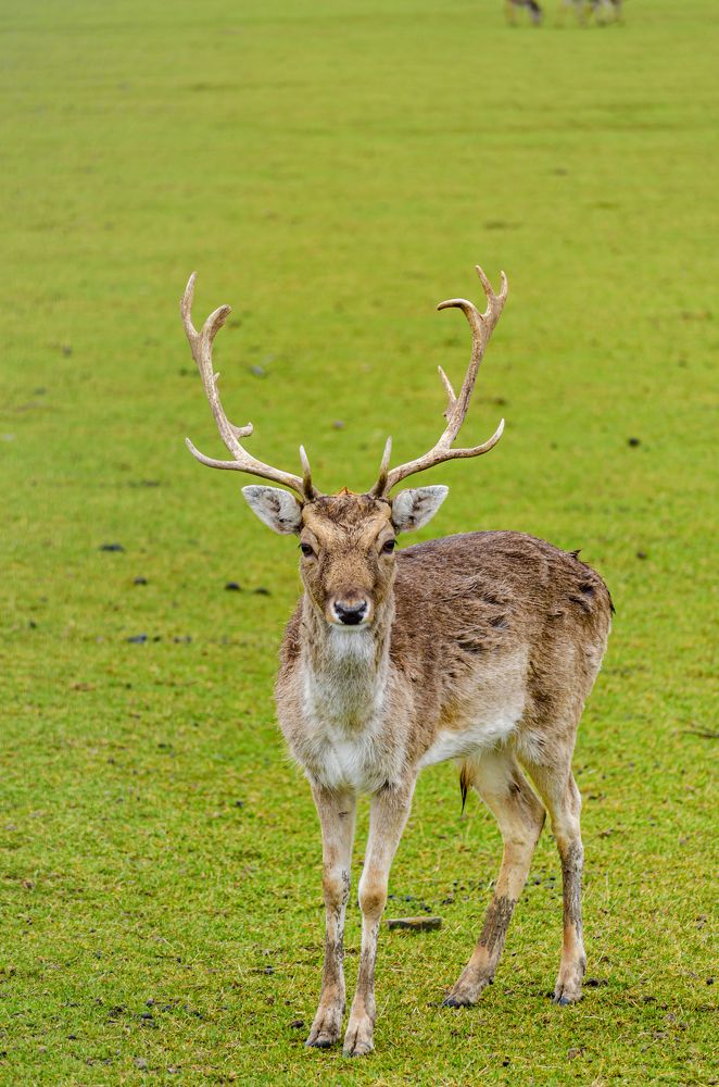 Photograph by Oleg Yashin