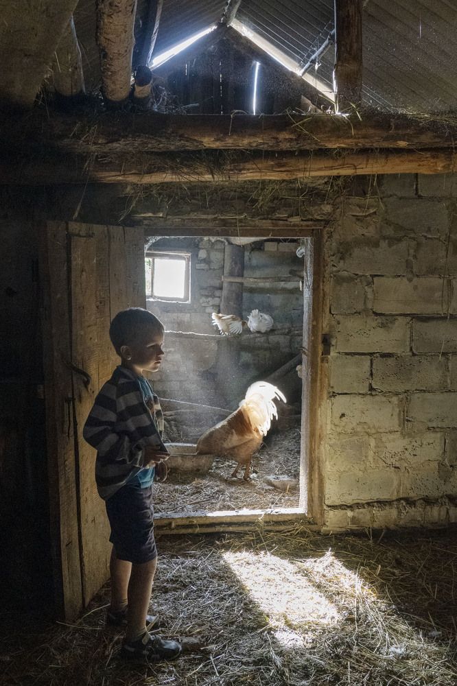 Photograph by Светлана