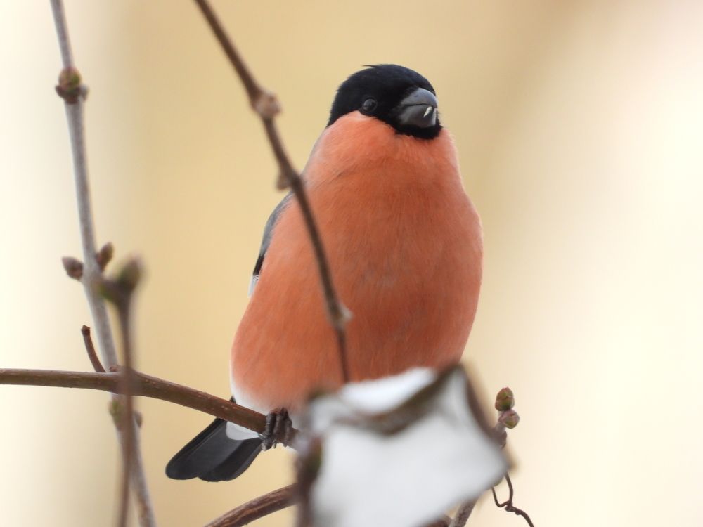 Photograph by Владимир Джерихов