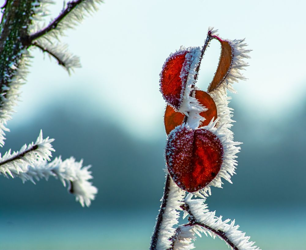 Photograph by Vitalii Kaznin