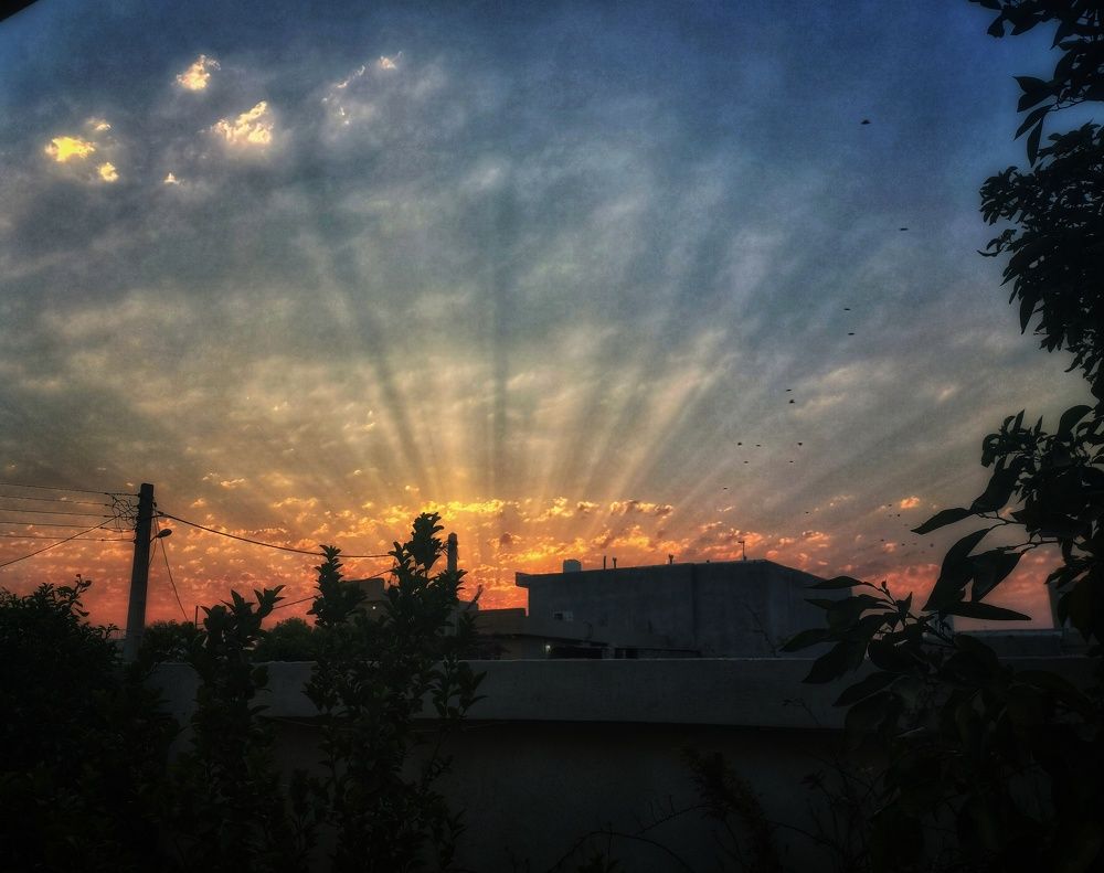 Photograph by aref rafiepour