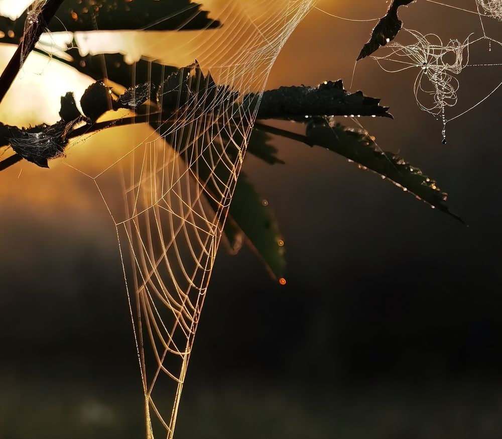 Photograph by Alexandr