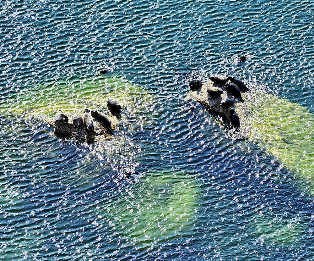 Photograph by Юрий Назыров