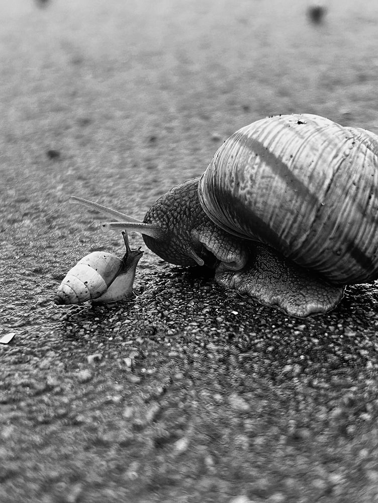 Photograph by Evgewa