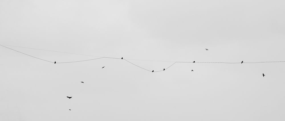 Photograph by Anna Maximova