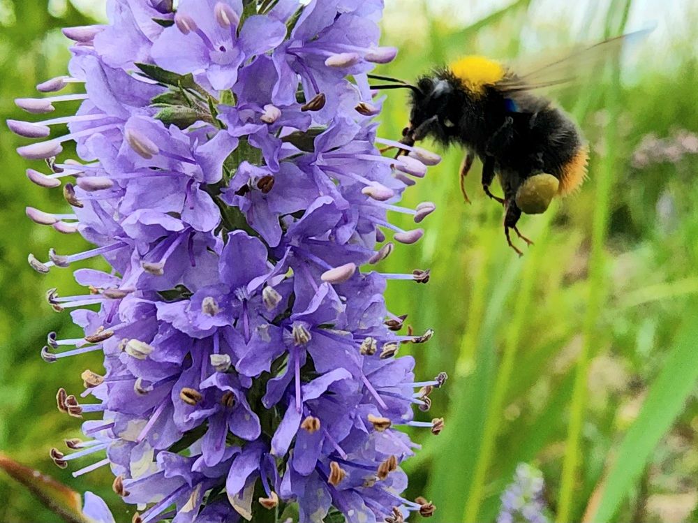 Photograph by Анна