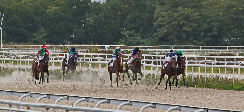 Photograph by Александр