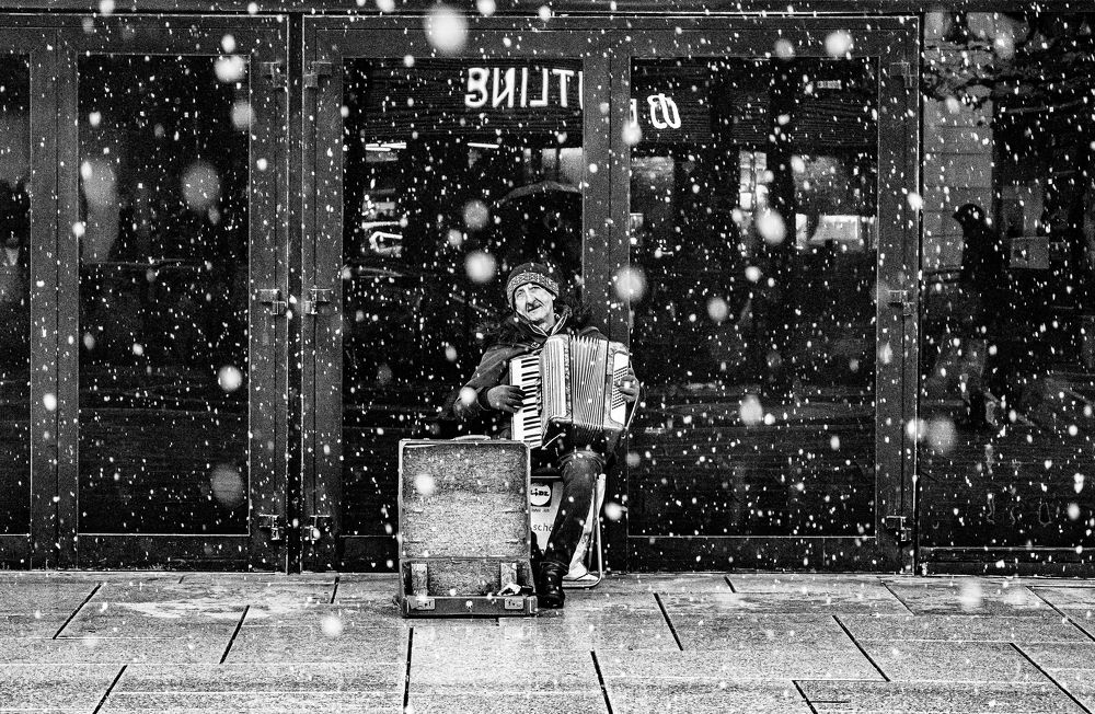 Фотография автора Mostafa MBeigi