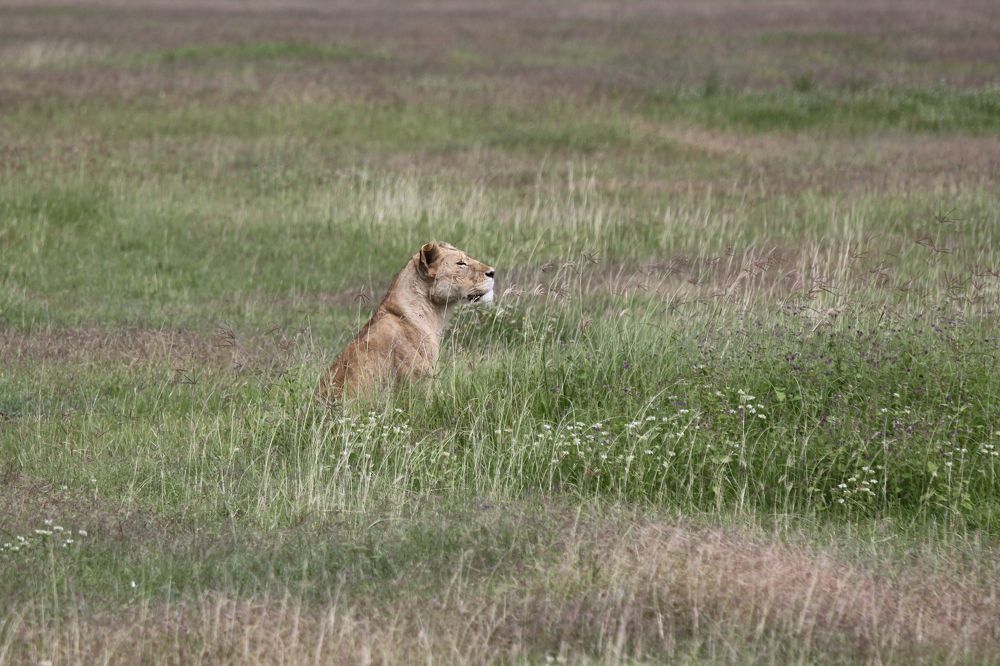 Photograph by Анастасия Парчевская