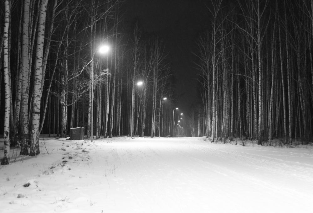 Photograph by Баженова Наталья