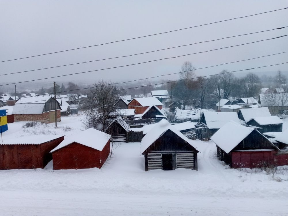 Photo #9907706