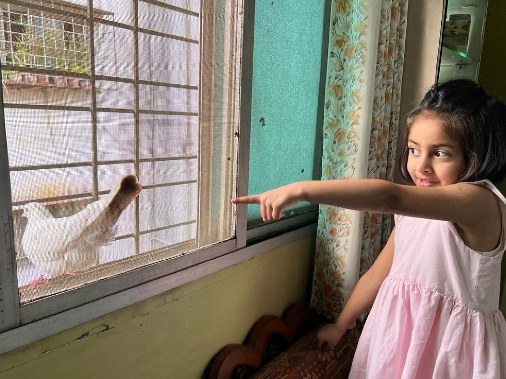 Photograph by Ambewadikar sourabh