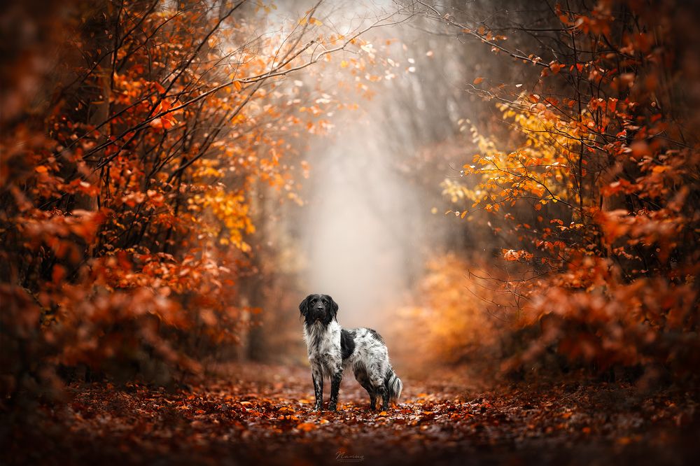 Photograph by Fleur Scholte