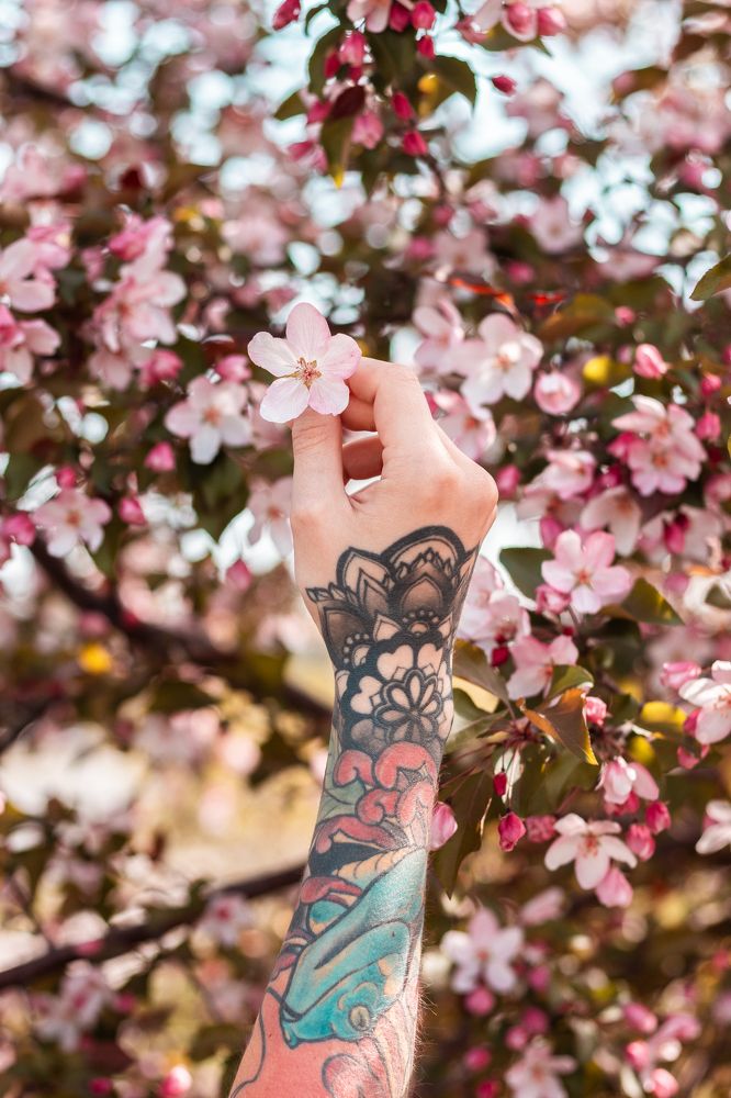 Photograph by Владислав Барышников