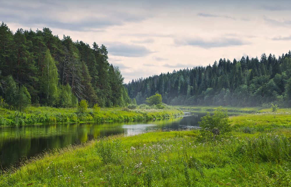 Photograph by Анатолий Максимов