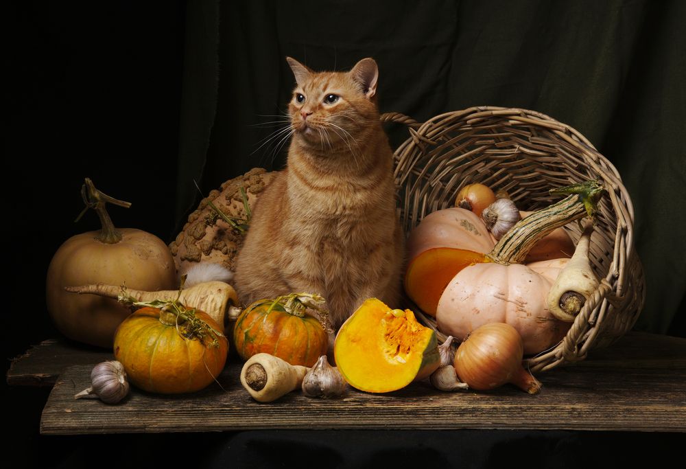 Фотография автора Марина Красовская