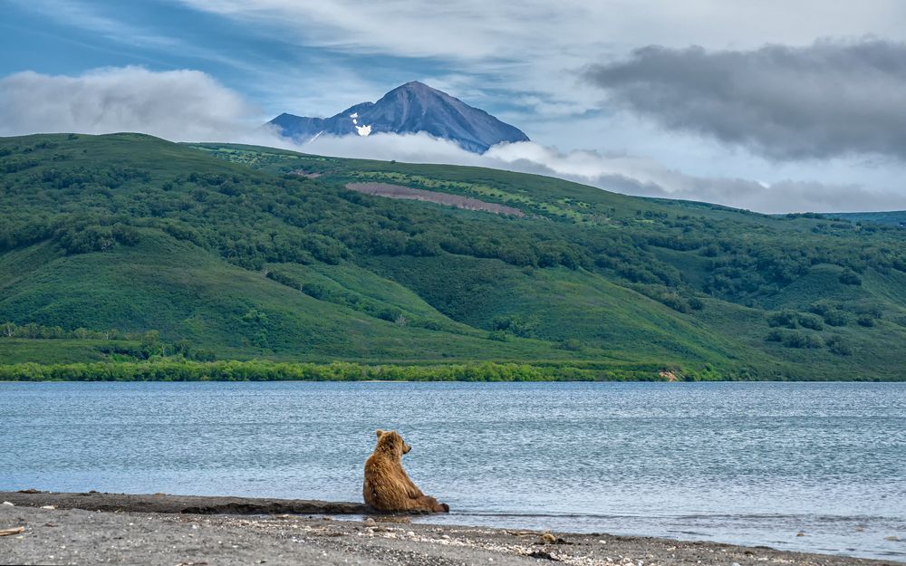 Фотография автора Регина Иванова