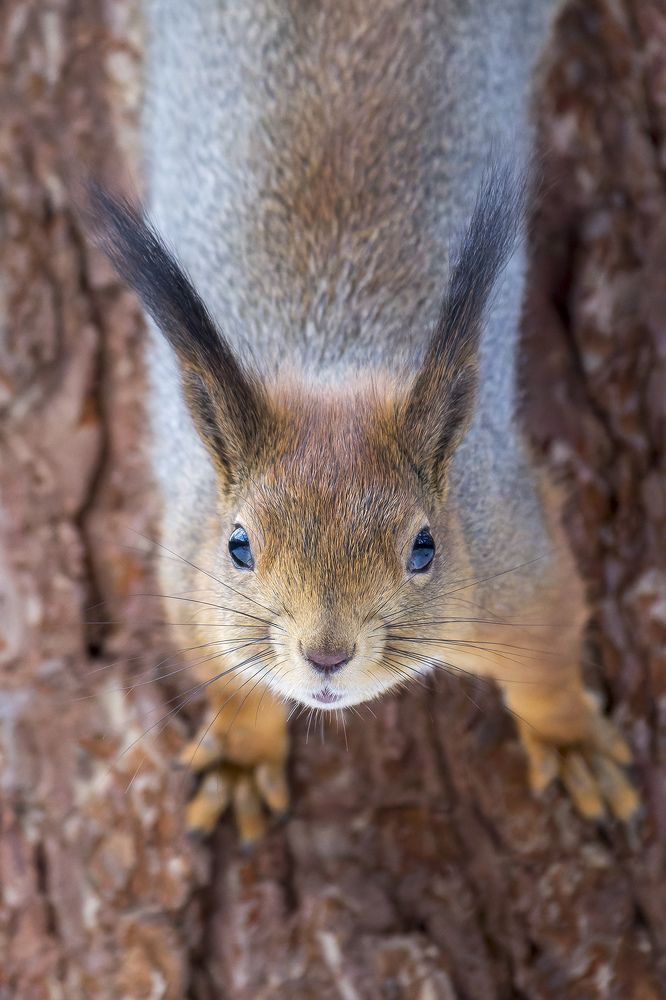 Photograph by Вячеслав Орос