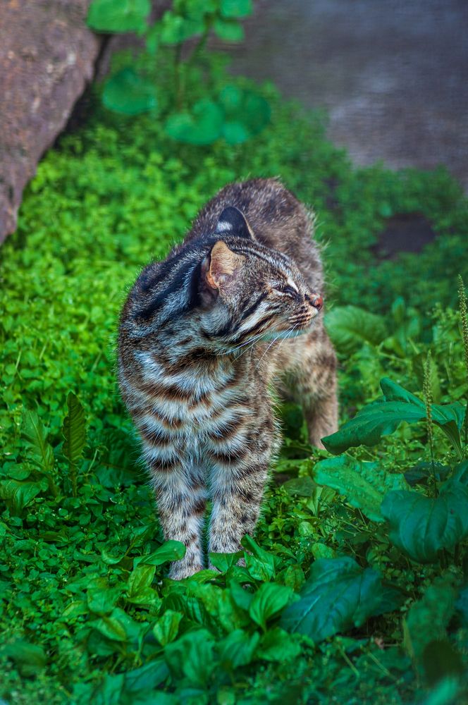 Photograph by Денис Кичев